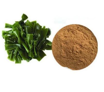 202207131412497ebf90103a0b4762bf9fe1386d47806e-2 202207131412497ebf90103a0b4762bf9fe1386d47806e-2