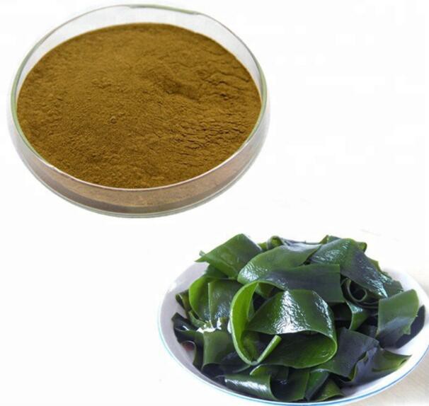 20220713141329087c4299cbce4ecf9f76424fe7072c29-1 20220713141329087c4299cbce4ecf9f76424fe7072c29-1