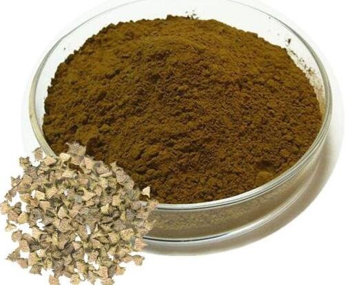 20220726132238272a68d301ef44cc8ad40c02bd5eccd4-1 20220726132238272a68d301ef44cc8ad40c02bd5eccd4-1