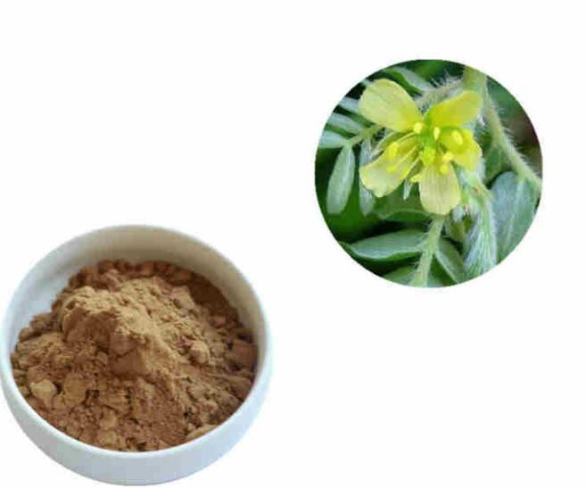 2022072613230059893fc3dddf45c2833b4303a804161c-1 2022072613230059893fc3dddf45c2833b4303a804161c-1