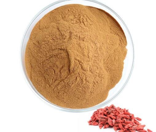 20220817130631daf909741a6f4a638c924a532a2ce266