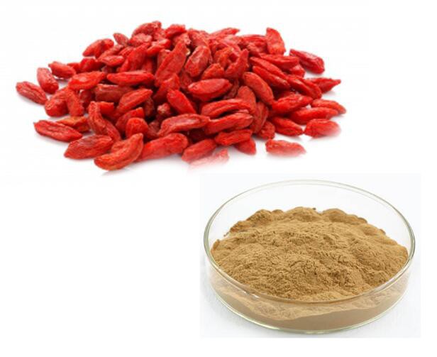 202208181144314665cee5be1241d0a57d01528a5a459c 202208181144314665cee5be1241d0a57d01528a5a459c