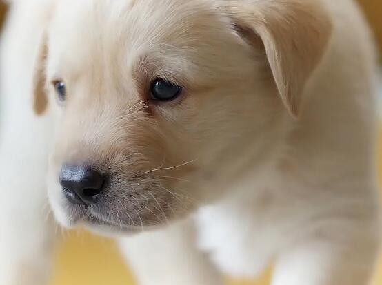 202209271416208377624d514940a8af05aa502b076f39 202209271416208377624d514940a8af05aa502b076f39