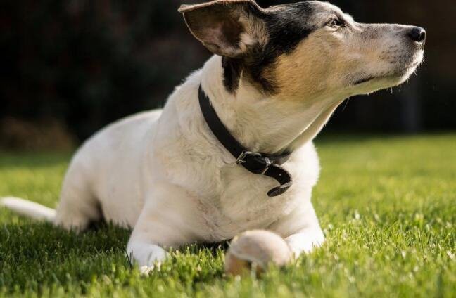 20221109144417fb4ddf348a8e442f81fb84b5be85feed-8 20221109144417fb4ddf348a8e442f81fb84b5be85feed-8