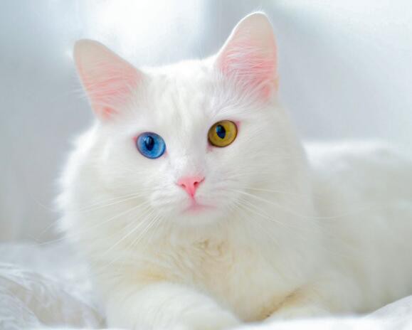 20221114152851c506945f2ff64cb8baf17b299053d29d-3 20221114152851c506945f2ff64cb8baf17b299053d29d-3