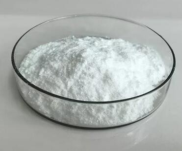 202212201633471c1447558df943e5bee36aae055189b8 202212201633471c1447558df943e5bee36aae055189b8