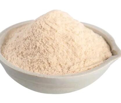 202301311330049e65373cb1424c6ca9e0c286a1315bb8