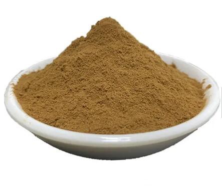 20230206140153404085aad6a5452db6bb0e6750d81ec9 20230206140153404085aad6a5452db6bb0e6750d81ec9