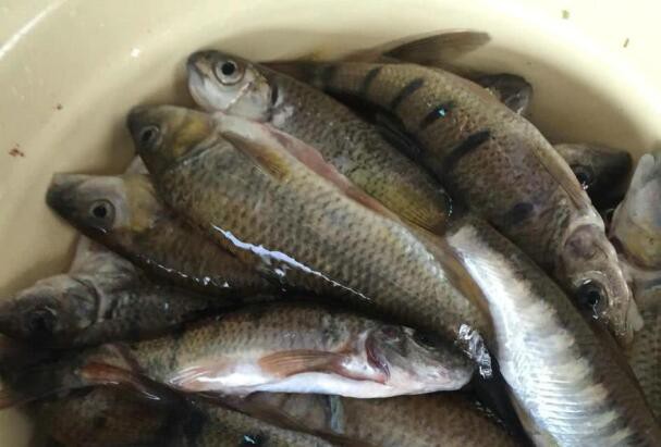 20230208150420b2a854d7233744289f165d0b825f3f1d-1 20230208150420b2a854d7233744289f165d0b825f3f1d-1