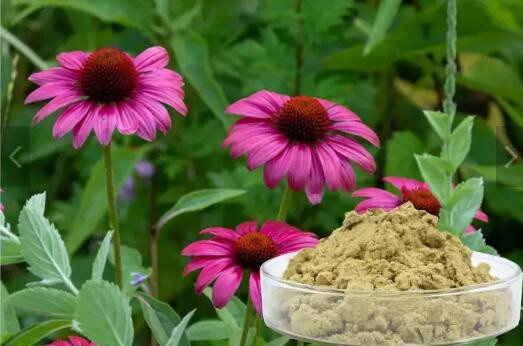 202302171040458cdbb3e31542474c8954c7674d7aab20-2 202302171040458cdbb3e31542474c8954c7674d7aab20-2