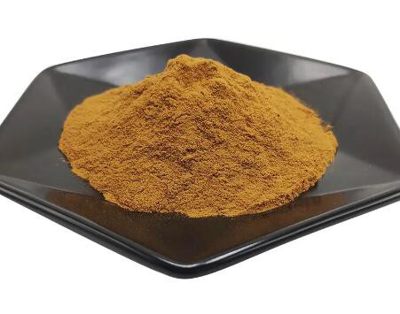 20230228151503f3c30c17d72c4047b460d8c09e553f6b 20230228151503f3c30c17d72c4047b460d8c09e553f6b