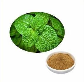 2023022815215099f269a400314cfbb5d119c9ab7f0473-1 2023022815215099f269a400314cfbb5d119c9ab7f0473-1