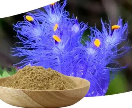 202303091510125753e79d499d4e88b9268b3591cdd843-1 202303091510125753e79d499d4e88b9268b3591cdd843-1