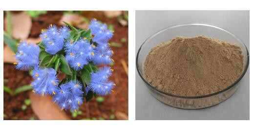 202303141110234cabc774f3cd4565be6a1bd4f256727a 202303141110234cabc774f3cd4565be6a1bd4f256727a