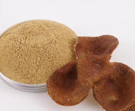 20230322161545df669b2adc7847b282456ac611381cfd 20230322161545df669b2adc7847b282456ac611381cfd