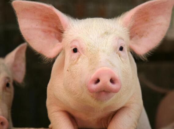 20230322162004d7e80c82192944369e6cd87efc6e5faf 20230322162004d7e80c82192944369e6cd87efc6e5faf