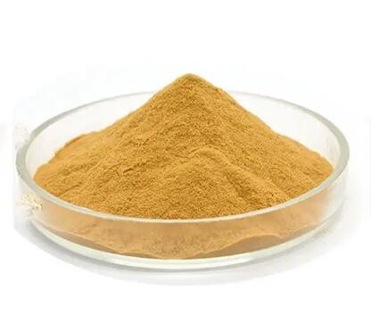 202304271426274492798535fd4b56818e44454832b83a-2 202304271426274492798535fd4b56818e44454832b83a-2