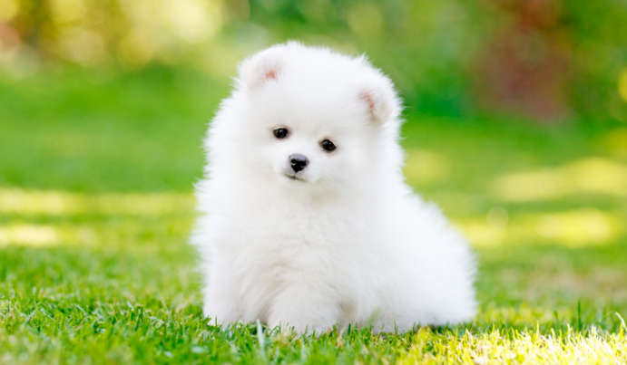 20230524153550e11170721eb24a6d8ffc4205e4fe5b27-9 20230524153550e11170721eb24a6d8ffc4205e4fe5b27-9