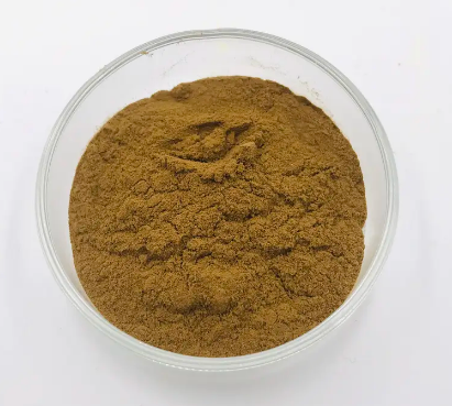 202305241542324a5523ecbaf041c1b8156f12a4b2d443-1 202305241542324a5523ecbaf041c1b8156f12a4b2d443-1