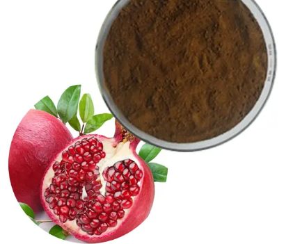 20230530145825d9535ef34cad45f18dc20e17e1f8b308