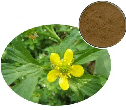 20230607144541402dd9c0ab6c4aa6ab272dea71b640a5 20230607144541402dd9c0ab6c4aa6ab272dea71b640a5