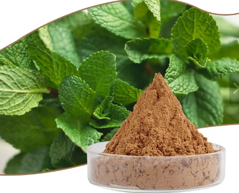 20230608164815407514e171594331aa449206221666b2 20230608164815407514e171594331aa449206221666b2