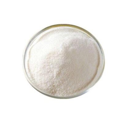 lactobacillus-bulgaricus07472578344 Lactobacillus Bulgaricus07472578344