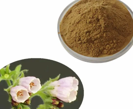 comfrey-leaf-powderb8beccc4-d6d4-4457-9a8b-d203fd788c70 Comfrey Leaf Powderb8beccc4 D6d4 4457 9a8b D203fd788c70