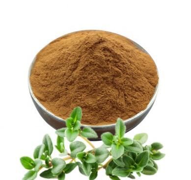 thyme-powder59594444616 Thyme Powder59594444616