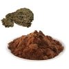 coriolus-versicolor-extract21213591367 Coriolus Versicolor Extract21213591367