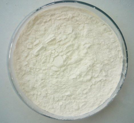 lipase-enzyme37204184467 Lipase Enzyme37204184467