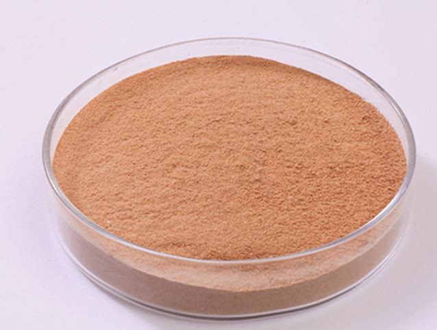 enzyme-protease17120748861 Enzyme Protease17120748861