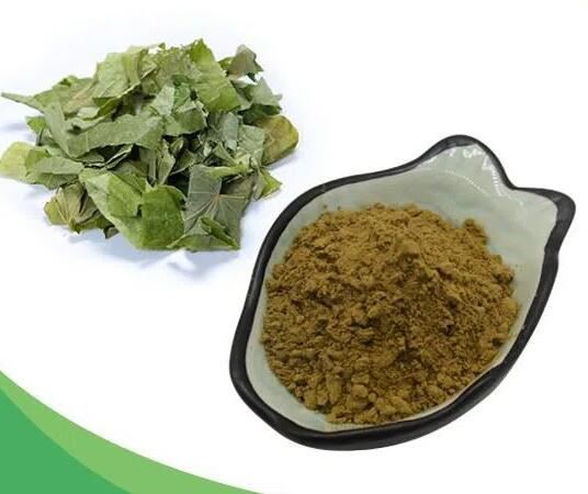 icariin-6039521242043 Icariin 6039521242043