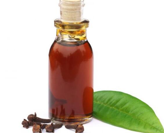 clove-oil13355844042 Clove Oil13355844042