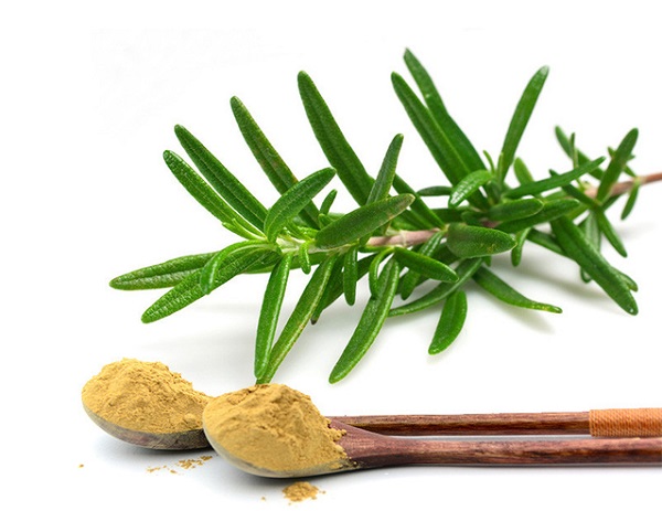 Estratto di rosmarino