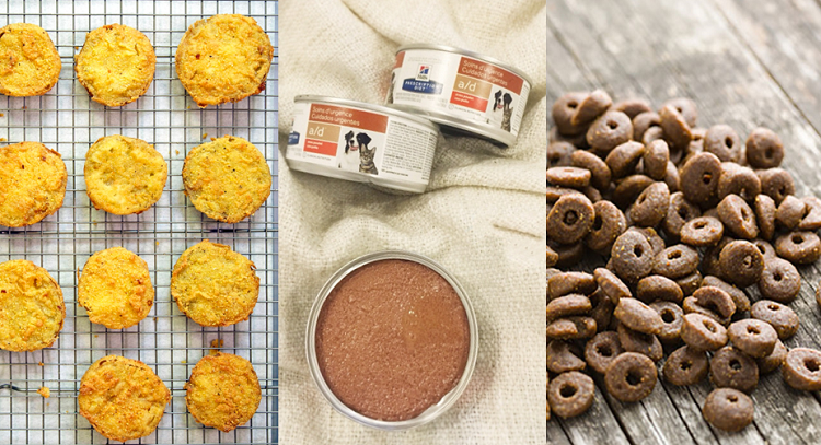 Usi della polvere di zucca