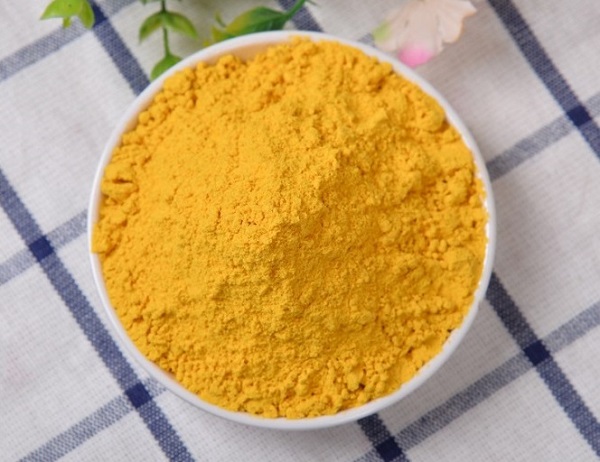 Polvere di zucca disidratata