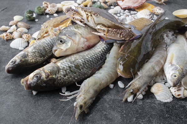 Usi della polvere di clorella