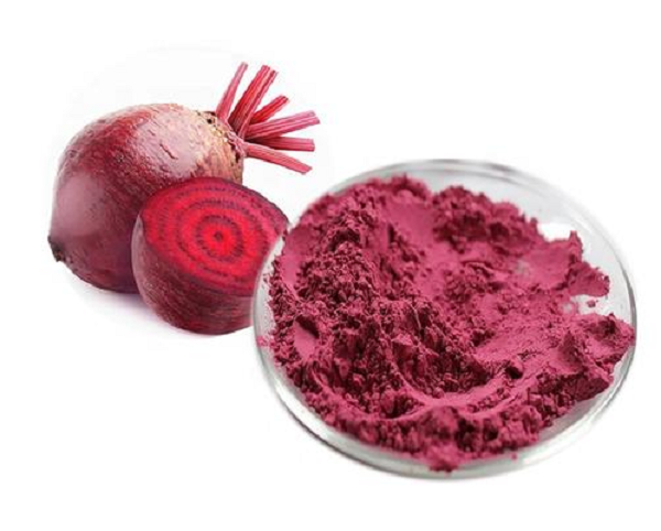 Polvere di barbabietola sfusa