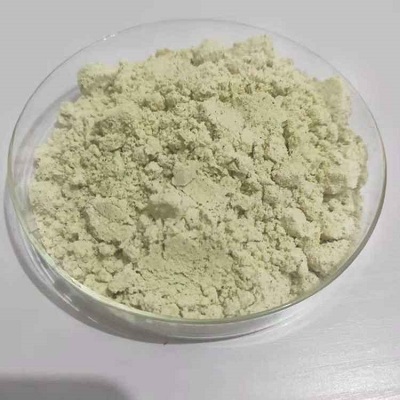 Polvere di semi di zucca sfusa