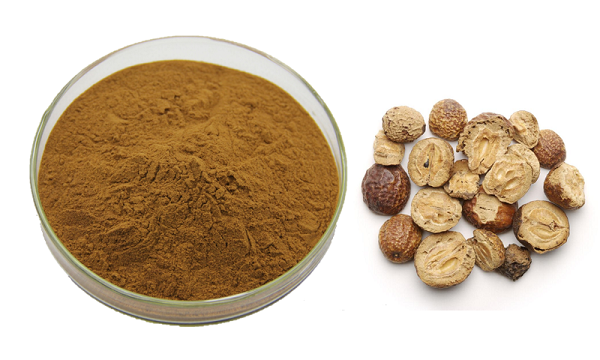 Polvere di Toosendanina sfusa