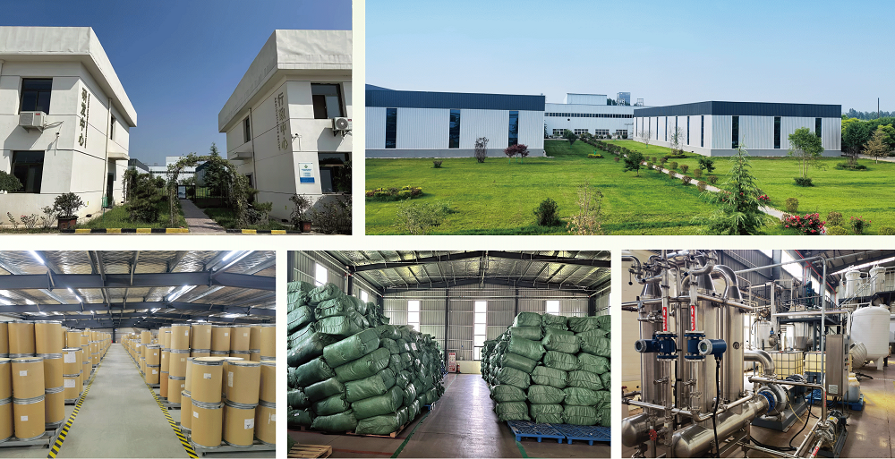 Stabilimento di Green Agri