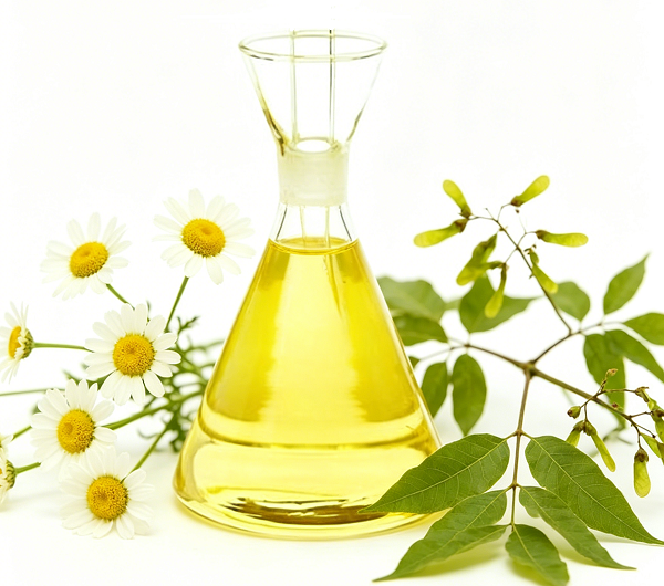 Piretrine o olio di neem: qual è la migliore soluzione naturale per il controllo dei parassiti?