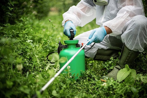 Toosendanina all'ingrosso, materiale tecnico per produttori di pesticidi botanici