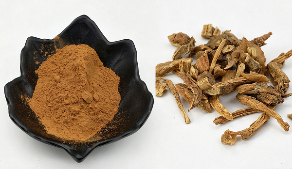 Fornitore di estratto di Stemona Japonica