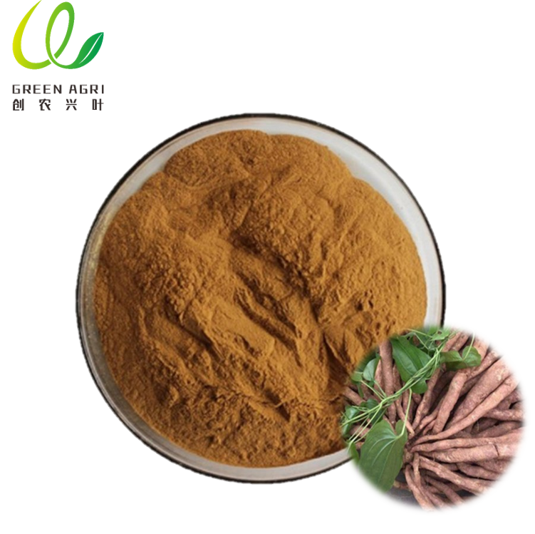 Fornitore di estratto di Stemona Japonica